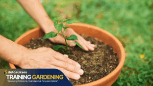 Training Gardening Malang Terpercaya